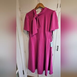 NWT Maggy London Fuchsia Dress Size 14